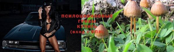сатива Бронницы