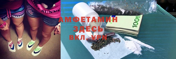 экстази Бородино