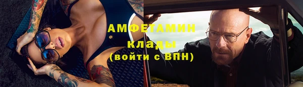 сатива Бронницы