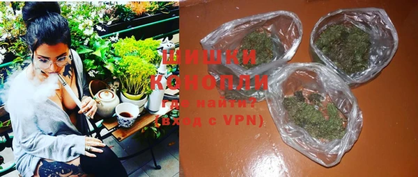 сатива Бронницы