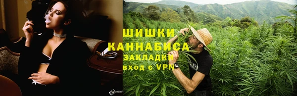 сатива Бронницы
